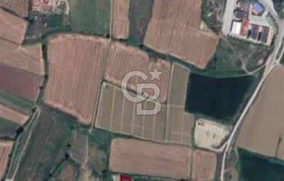 Manisa Salihli Caferbeyde Satılık Tarla