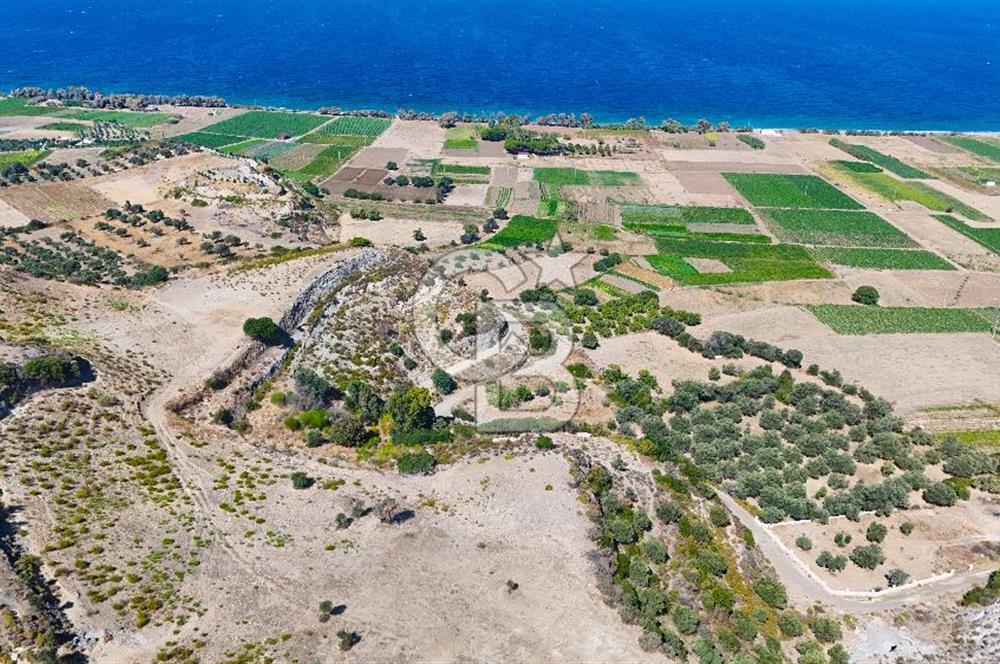 Datça, Karaköy'de Full Deniz Manzaralı Yolu Olan 5.127 m2 Tarla...