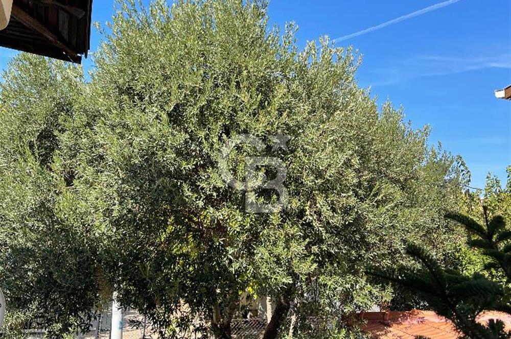 Urla Özbekte Satılık Villa 
