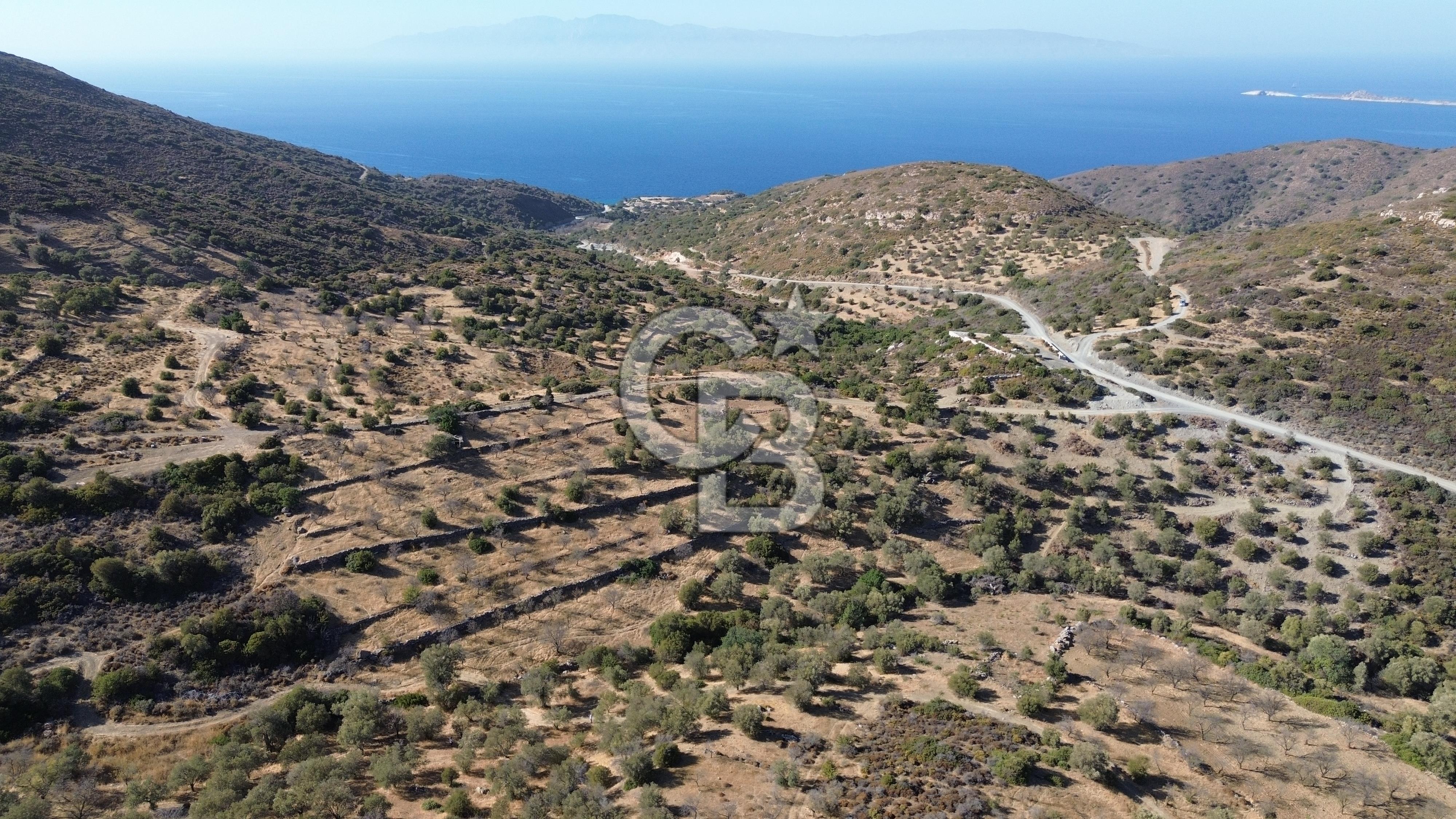 DATÇA YAZI KÖYDE  YATIRIMLIK  TARLA  KOS  ADASI MANZARALI