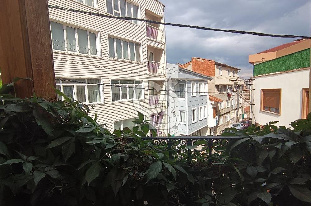 Setbaşı böcek evi