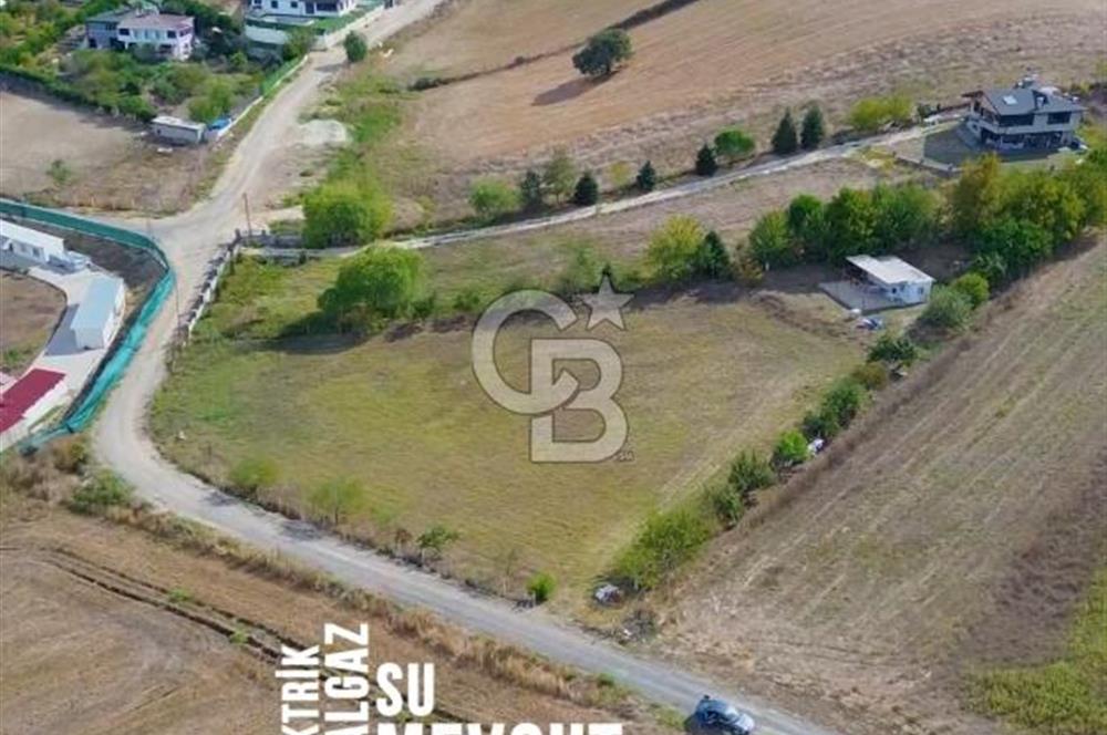 İstanbul Çatalca İnceğiz de Satılık Tarla