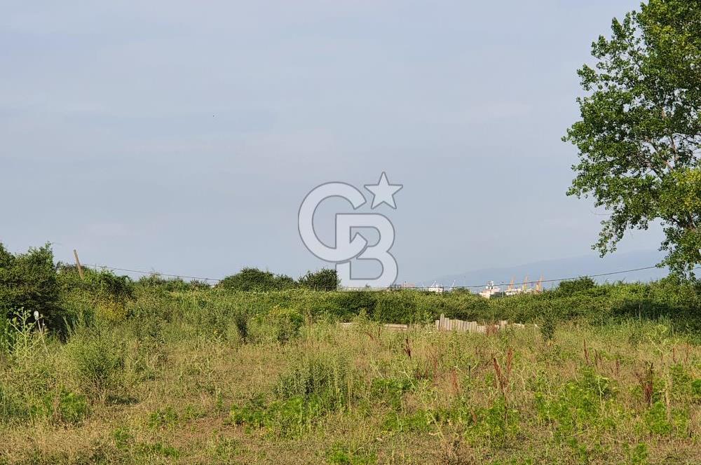 YALOVA TAŞKÖPRÜ’DE SATILIK 12.120 M2 SANAYİ İMARLI ARSA!