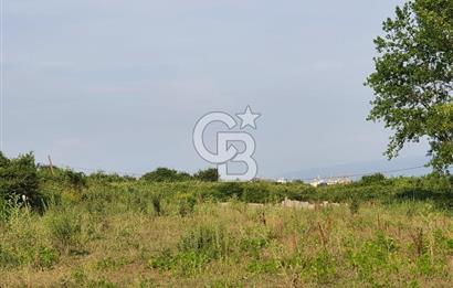 YALOVA TAŞKÖPRÜ’DE SATILIK 12.120 M2 SANAYİ İMARLI ARSA!