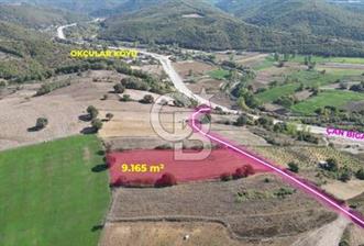 Çan okçular köyü tarla
