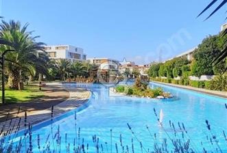 BOŞ KURTKÖY DUMANKAYA KONSEPTTE BÜYÜK TİP SATILIK EŞYALI 1+1 - 8 - 237765