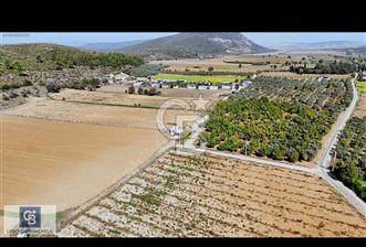 MENDERES ÇAKALTEPE SATILIK 10.797 m2 TARLA