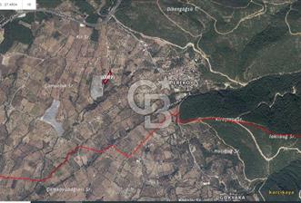 Kemalpaşa Dereköy 'e 700 m. Mesafede Yola Cepheli Zeytinli Tarla