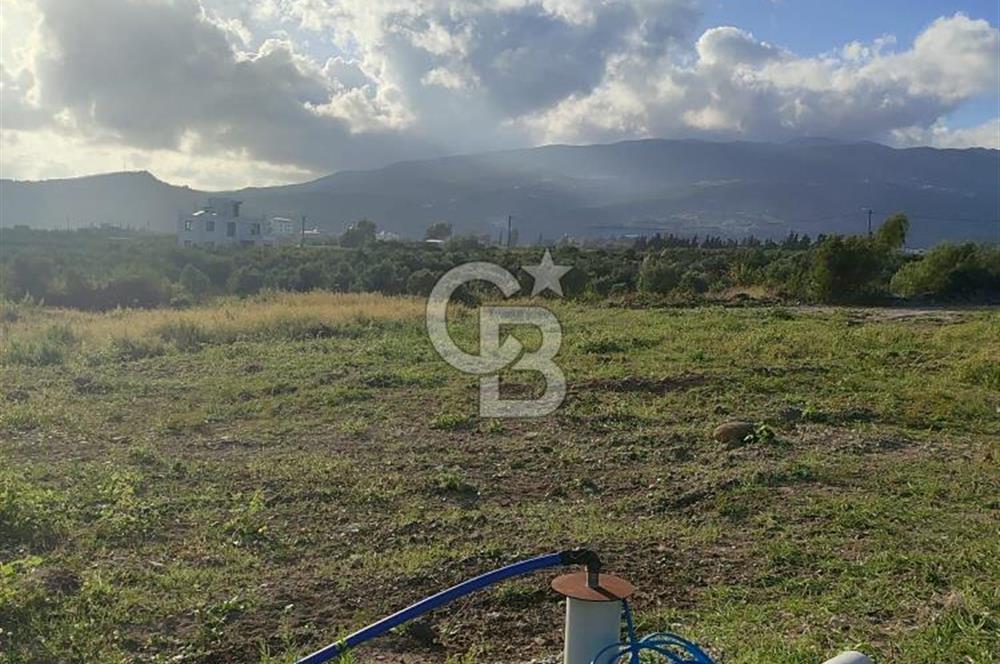 UZUNBAĞ DA SATILIK İMARLI ARTEZYENİ OLAN ARSA