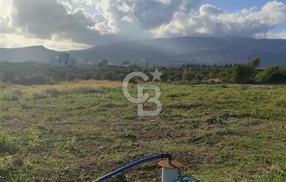 UZUNBAĞ DA SATILIK İMARLI ARTEZYENİ OLAN ARSA