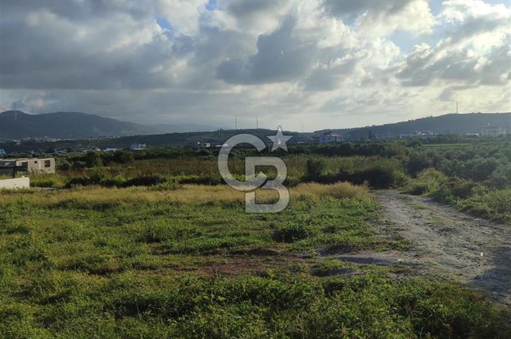 UZUNBAĞ DA SATILIK İMARLI ARTEZYENİ OLAN ARSA