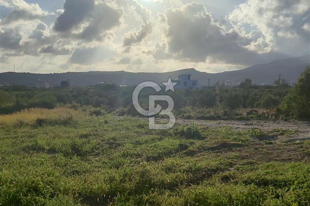 UZUNBAĞ DA SATILIK İMARLI ARTEZYENİ OLAN ARSA