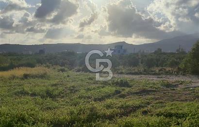 UZUNBAĞ DA SATILIK İMARLI ARTEZYENİ OLAN ARSA