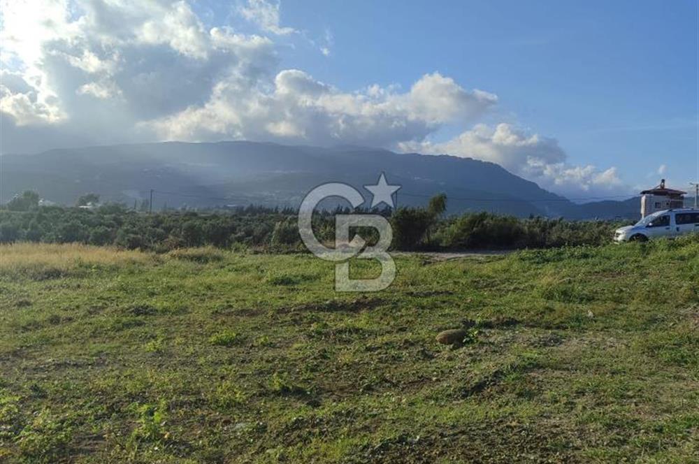 UZUNBAĞ DA SATILIK İMARLI ARTEZYENİ OLAN ARSA