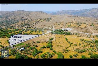 Karakuzu'da Asfalta Cepheli 70 Zeytin Ağaçlı 7.888 m2 Tarla