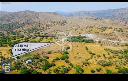 Karakuzu'da Asfalta Cepheli 70 Zeytin Ağaçlı 7.888 m2 Tarla