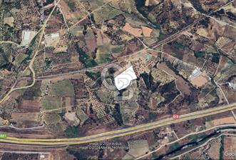 Kemalpaşa Çambel'de 8154 m2 Tarla