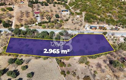 DATÇA HIZIRŞAH PALAMUTBÜKÜ ANAYOLU ÜZERİNDE FIRSAT TARLA