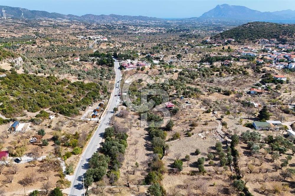 DATÇA HIZIRŞAH PALAMUTBÜKÜ ANAYOLU ÜZERİNDE FIRSAT TARLA