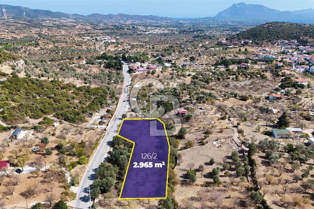 DATÇA HIZIRŞAH PALAMUTBÜKÜ ANAYOLU ÜZERİNDE FIRSAT TARLA