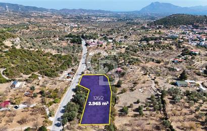 DATÇA HIZIRŞAH PALAMUTBÜKÜ ANAYOLU ÜZERİNDE FIRSAT TARLA