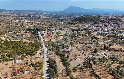 DATÇA HIZIRŞAH PALAMUTBÜKÜ ANAYOLU ÜZERİNDE FIRSAT TARLA