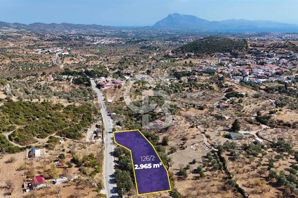 DATÇA HIZIRŞAH PALAMUTBÜKÜ ANAYOLU ÜZERİNDE FIRSAT TARLA