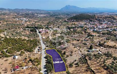 DATÇA HIZIRŞAH PALAMUTBÜKÜ ANAYOLU ÜZERİNDE FIRSAT TARLA