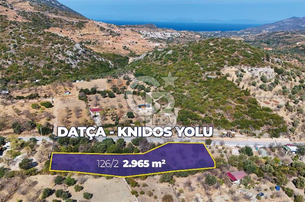 DATÇA HIZIRŞAH PALAMUTBÜKÜ ANAYOLU ÜZERİNDE FIRSAT TARLA