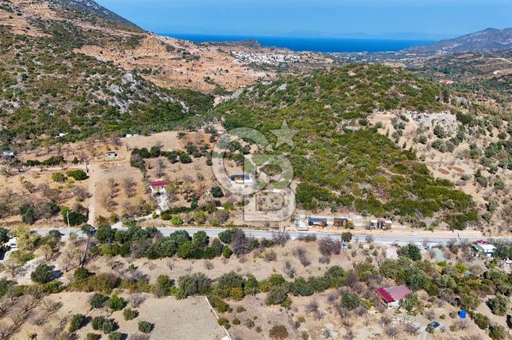 DATÇA HIZIRŞAH PALAMUTBÜKÜ ANAYOLU ÜZERİNDE FIRSAT TARLA