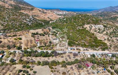 DATÇA HIZIRŞAH PALAMUTBÜKÜ ANAYOLU ÜZERİNDE FIRSAT TARLA