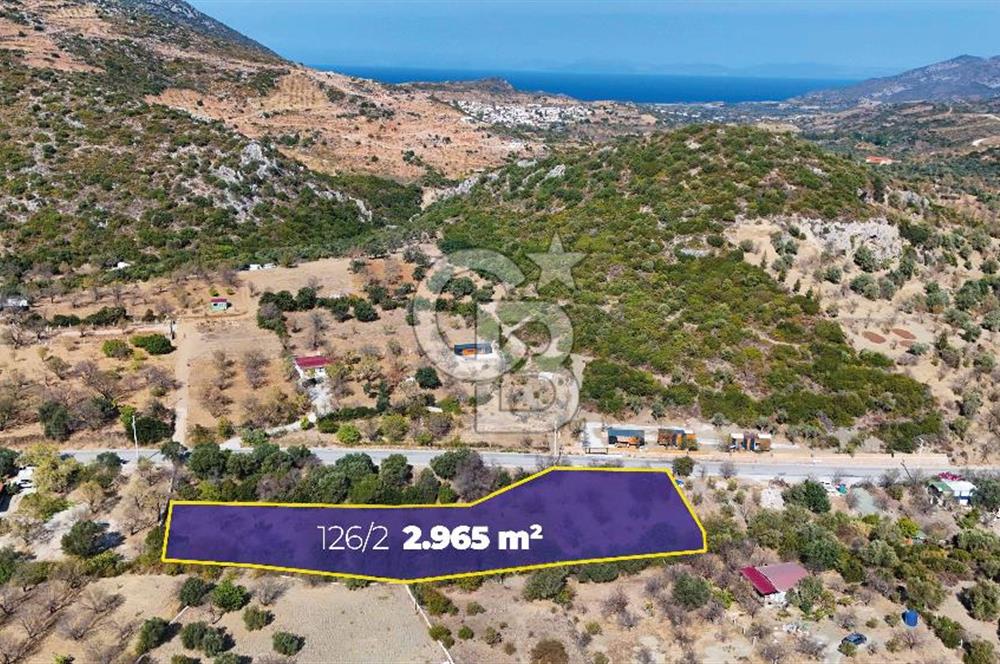 DATÇA HIZIRŞAH PALAMUTBÜKÜ ANAYOLU ÜZERİNDE FIRSAT TARLA