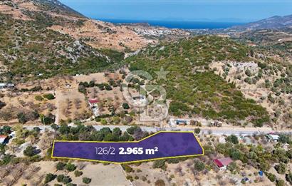 DATÇA HIZIRŞAH PALAMUTBÜKÜ ANAYOLU ÜZERİNDE FIRSAT TARLA