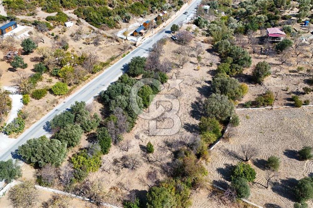 DATÇA HIZIRŞAH PALAMUTBÜKÜ ANAYOLU ÜZERİNDE FIRSAT TARLA