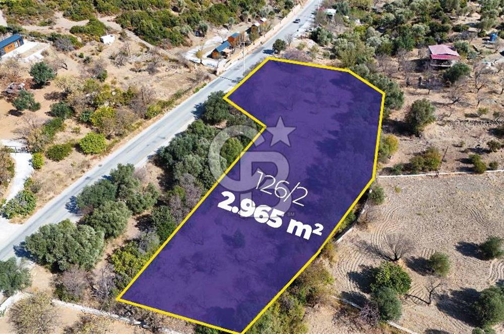 DATÇA HIZIRŞAH PALAMUTBÜKÜ ANAYOLU ÜZERİNDE FIRSAT TARLA