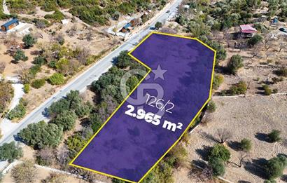 DATÇA HIZIRŞAH PALAMUTBÜKÜ ANAYOLU ÜZERİNDE FIRSAT TARLA