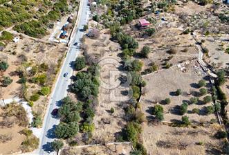 DATÇA HIZIRŞAH PALAMUTBÜKÜ ANAYOLU ÜZERİNDE FIRSAT TARLA - 7 - 238464