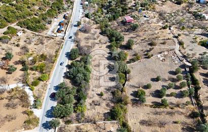 DATÇA HIZIRŞAH PALAMUTBÜKÜ ANAYOLU ÜZERİNDE FIRSAT TARLA