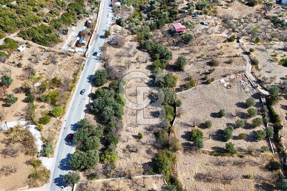 DATÇA HIZIRŞAH PALAMUTBÜKÜ ANAYOLU ÜZERİNDE FIRSAT TARLA