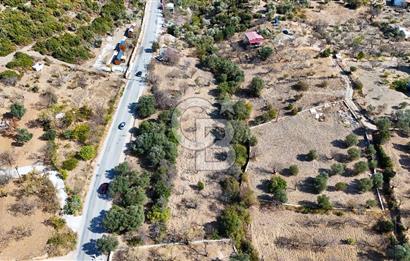 DATÇA HIZIRŞAH PALAMUTBÜKÜ ANAYOLU ÜZERİNDE FIRSAT TARLA