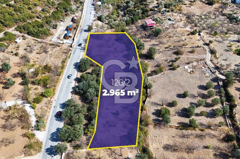 DATÇA HIZIRŞAH PALAMUTBÜKÜ ANAYOLU ÜZERİNDE FIRSAT TARLA