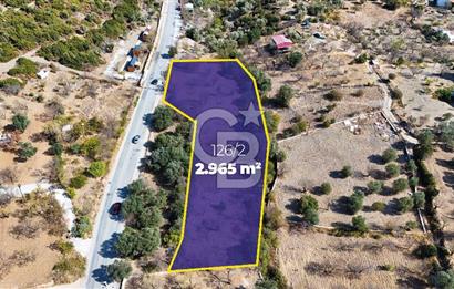 DATÇA HIZIRŞAH PALAMUTBÜKÜ ANAYOLU ÜZERİNDE FIRSAT TARLA