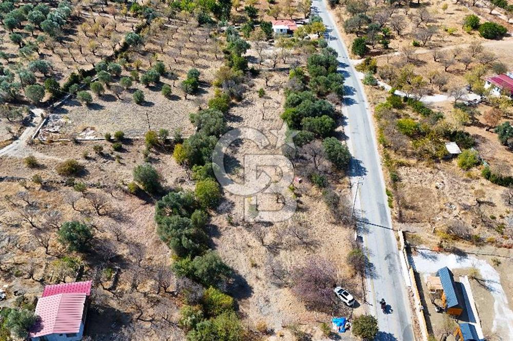 DATÇA HIZIRŞAH PALAMUTBÜKÜ ANAYOLU ÜZERİNDE FIRSAT TARLA