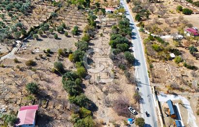 DATÇA HIZIRŞAH PALAMUTBÜKÜ ANAYOLU ÜZERİNDE FIRSAT TARLA