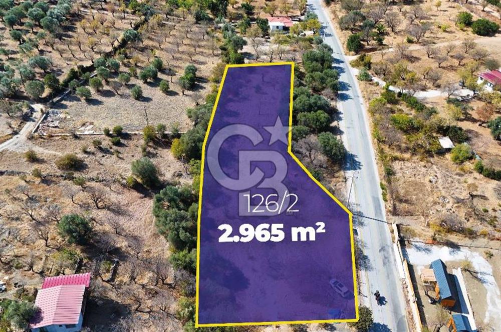 DATÇA HIZIRŞAH PALAMUTBÜKÜ ANAYOLU ÜZERİNDE FIRSAT TARLA