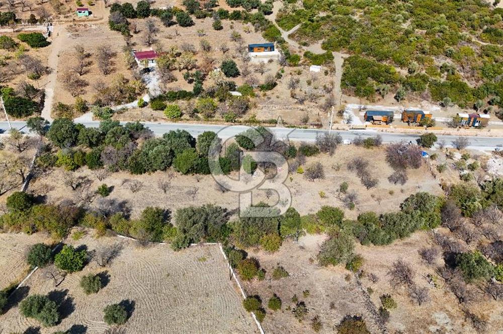 DATÇA HIZIRŞAH PALAMUTBÜKÜ ANAYOLU ÜZERİNDE FIRSAT TARLA