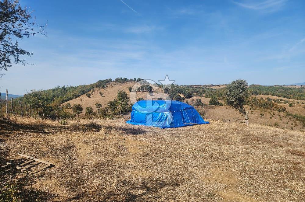 Çanakkale Çan Bardakçılar Köyü Satılık 16.500 M2 Arazi