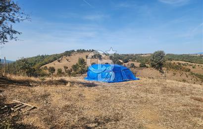 Çanakkale Çan Bardakçılar Köyü Satılık 16.500 M2 Arazi