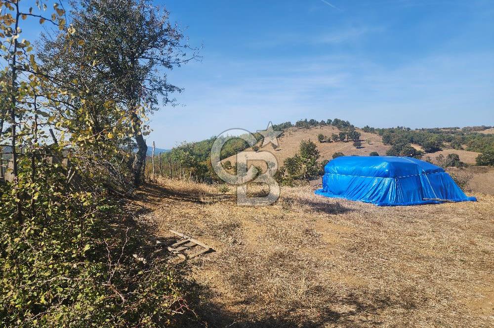 Çanakkale Çan Bardakçılar Köyü Satılık 16.500 M2 Arazi