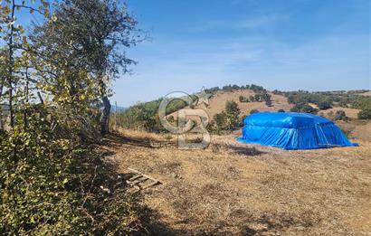 Çanakkale Çan Bardakçılar Köyü Satılık 16.500 M2 Arazi